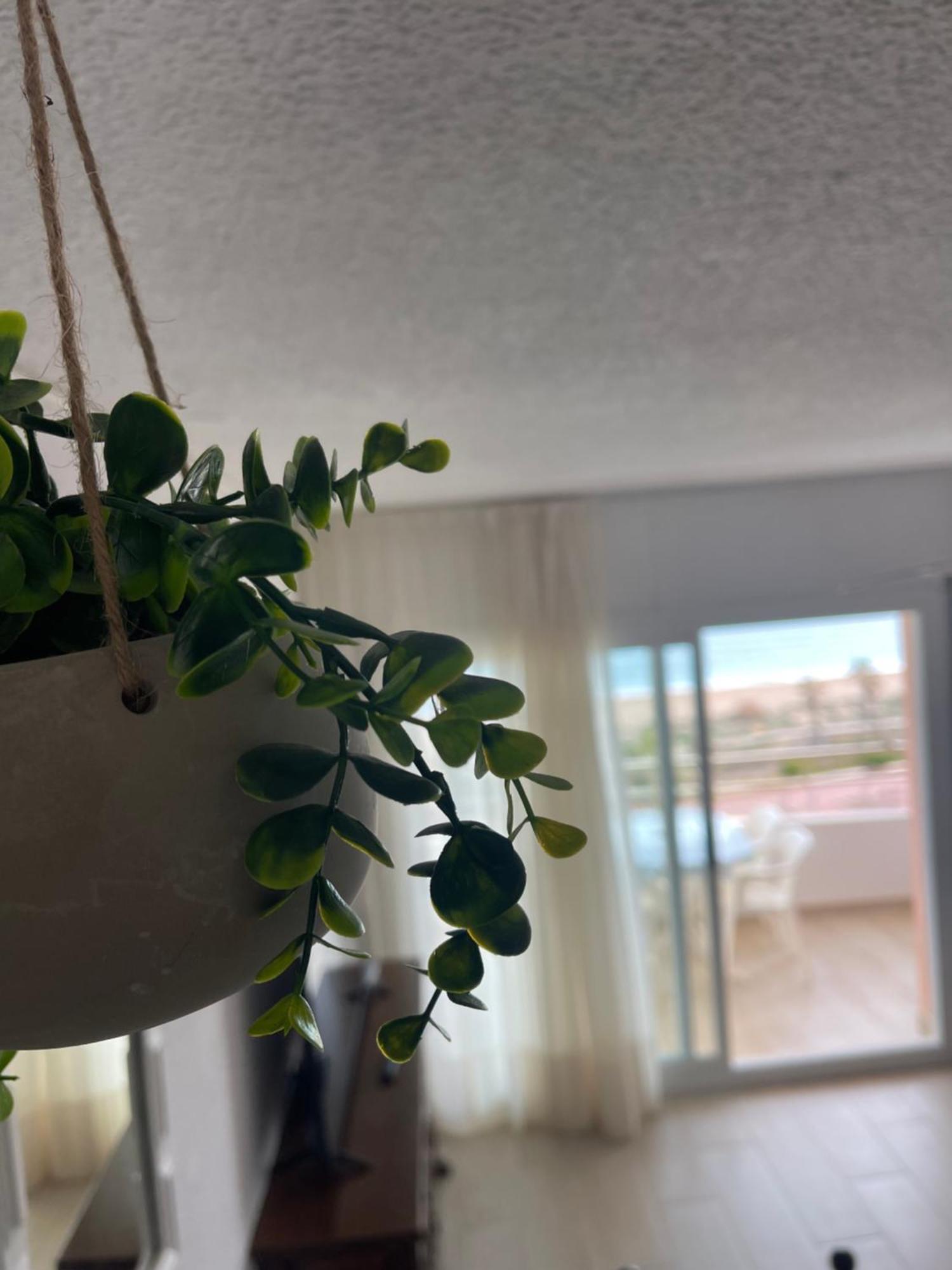 Apartament Penismar 67 Peñiscola Zewnętrze zdjęcie