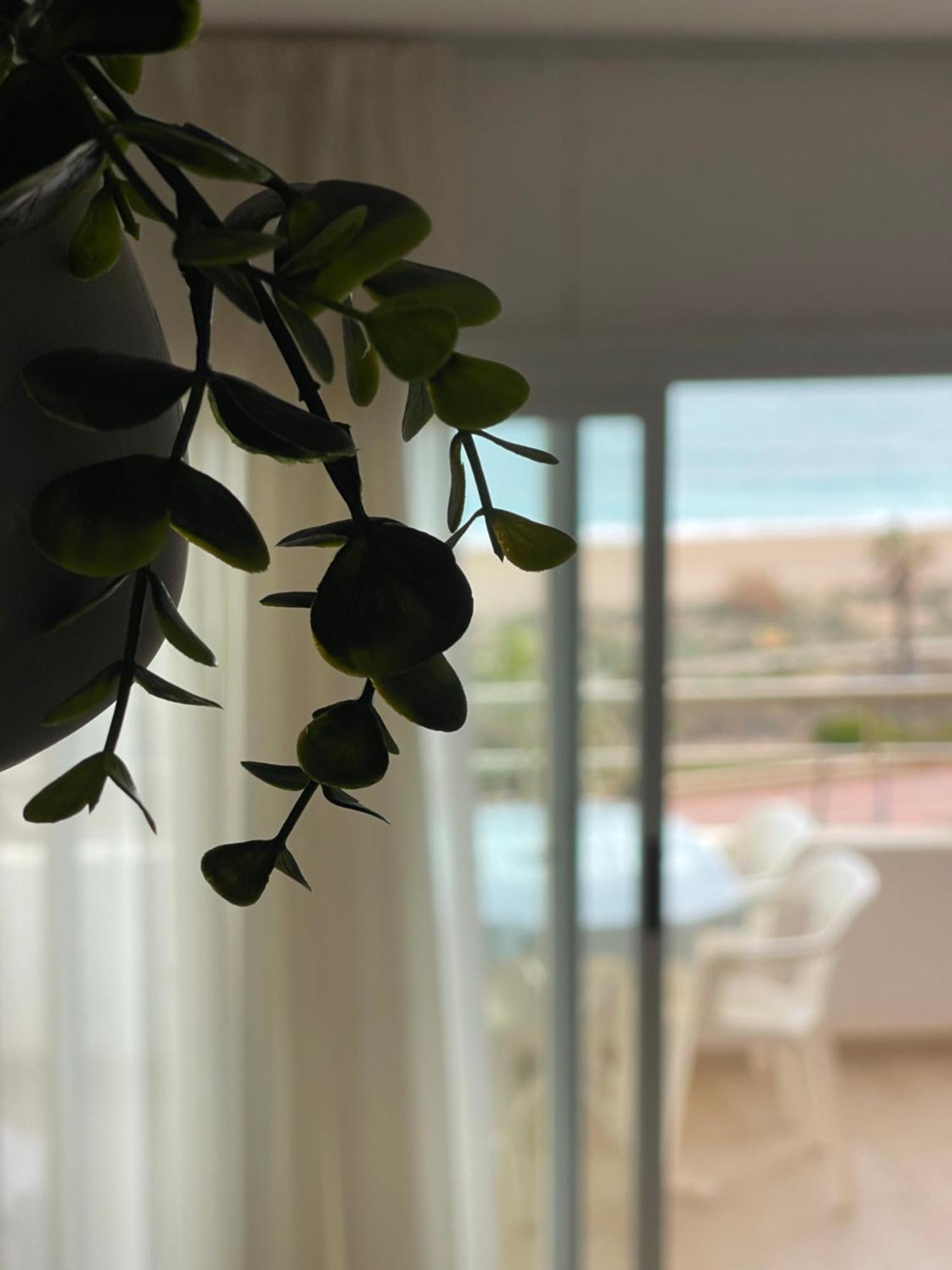 Apartament Penismar 67 Peñiscola Zewnętrze zdjęcie